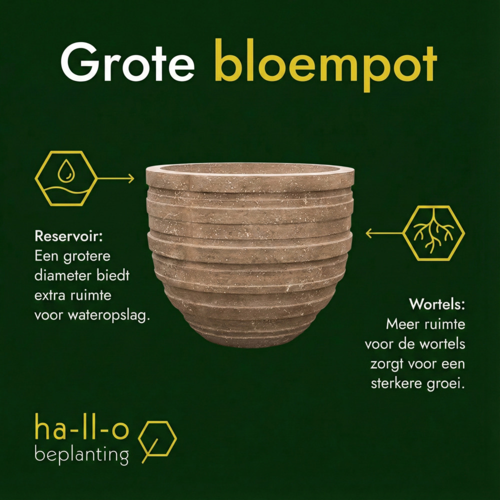 grote bloempotten 
