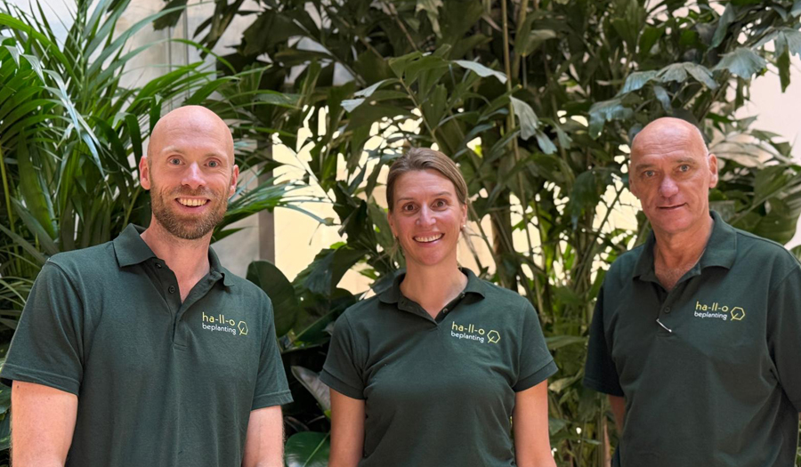 onderhoud team kantoorbeplanting