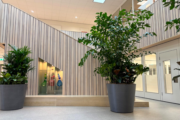 Kindcentrum Broekgraaf