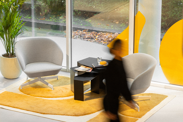 amsterdam grote kantoorplanten