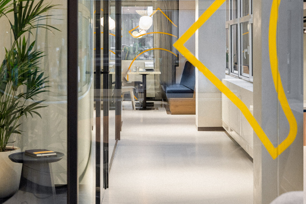 amsterdam kantoorplant