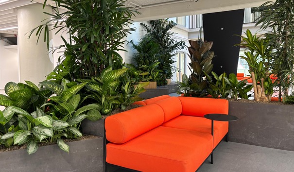 interieur beplanting amsterdam