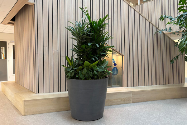 Kindcentrum Broekgraaf