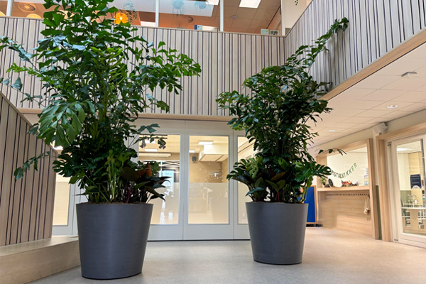 Kindcentrum Broekgraaf