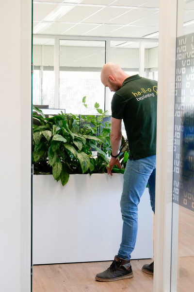 vlaardingen kantoorbeplanting