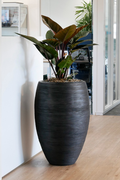 vlaardingen kantoorplant