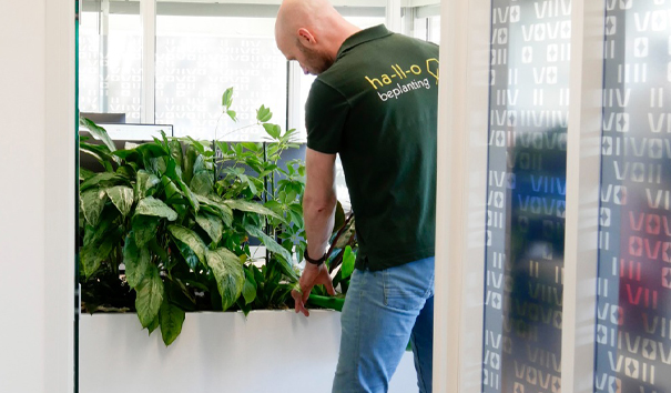 kantoorbeplanting vlaardingen