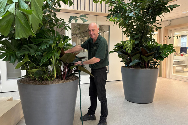 Kindcentrum Broekgraaf