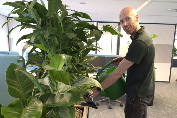 planten op kasten in rotterdam