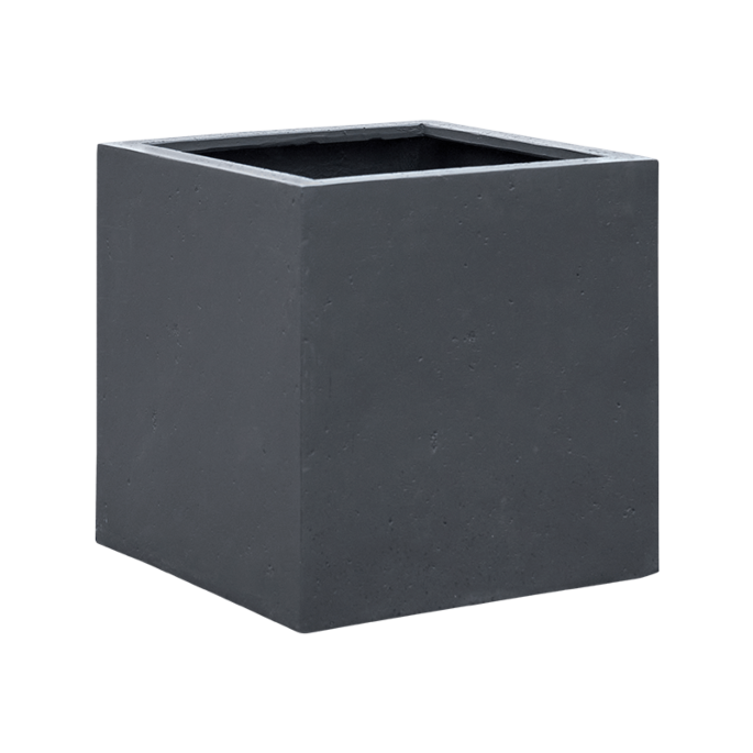 Grigio
