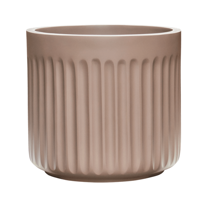Doric Natural