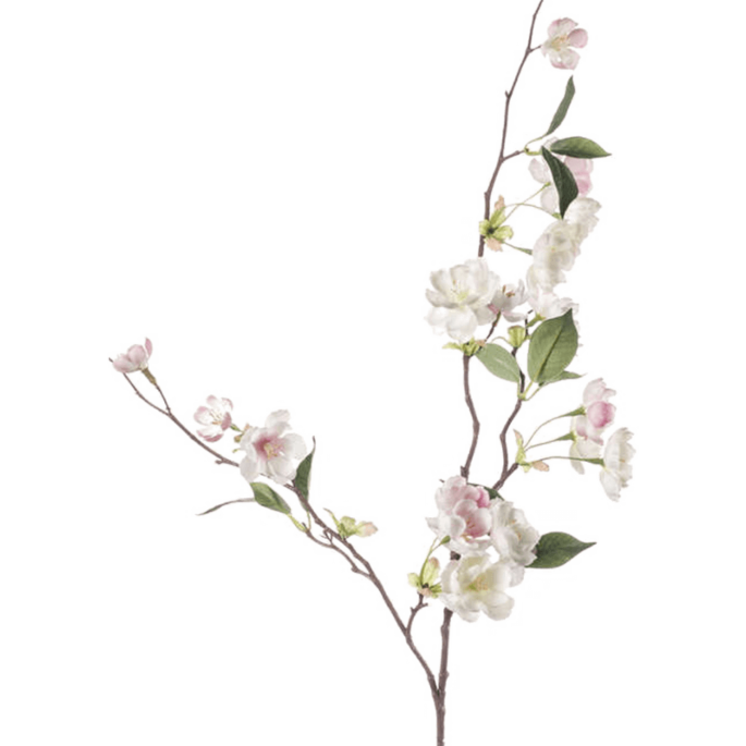 Peach blossom