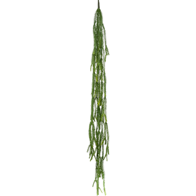 Bladcactus