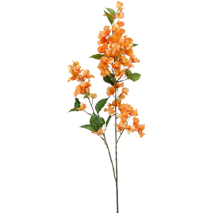 Bougainville