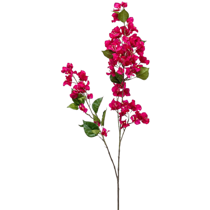 Bougainville