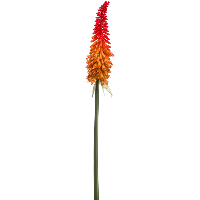 Vuurpijl