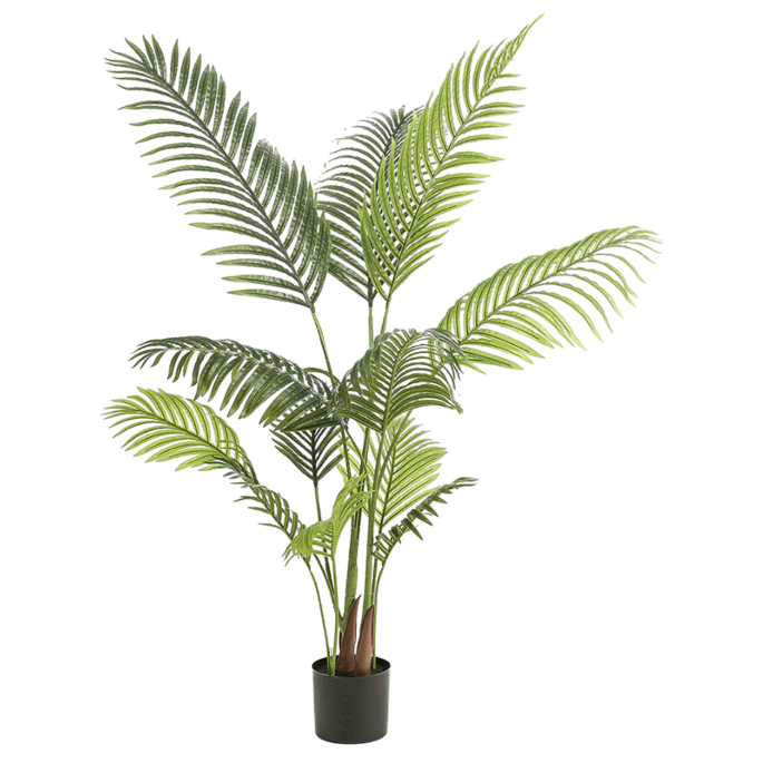 Paradijsvogelbloem