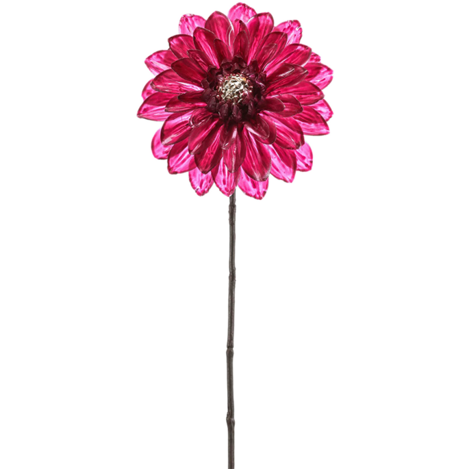 Dahlia