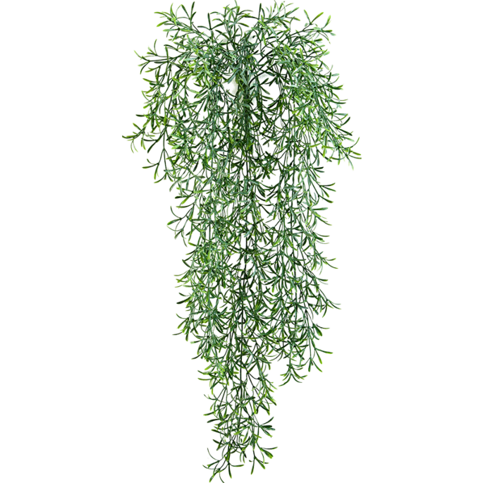Wilde Aspergevaren