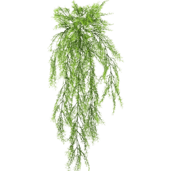 Aspergevaren