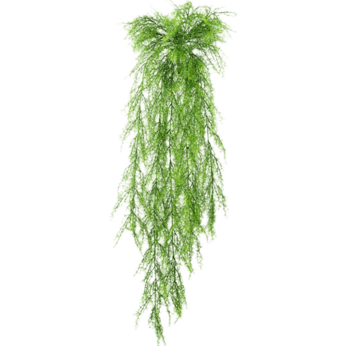 Aspergevaren