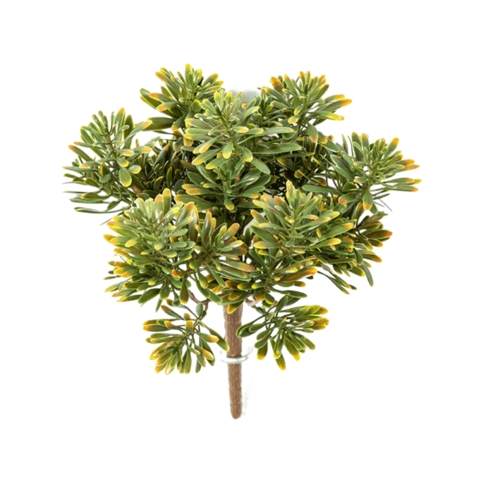 Zilverblad