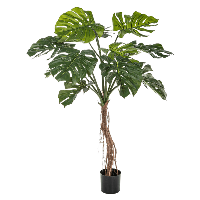Split Philo Root Tree