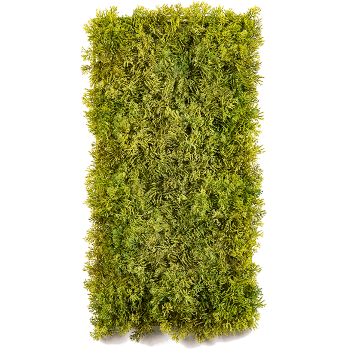 Moss