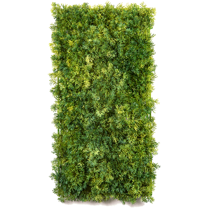 Moss
