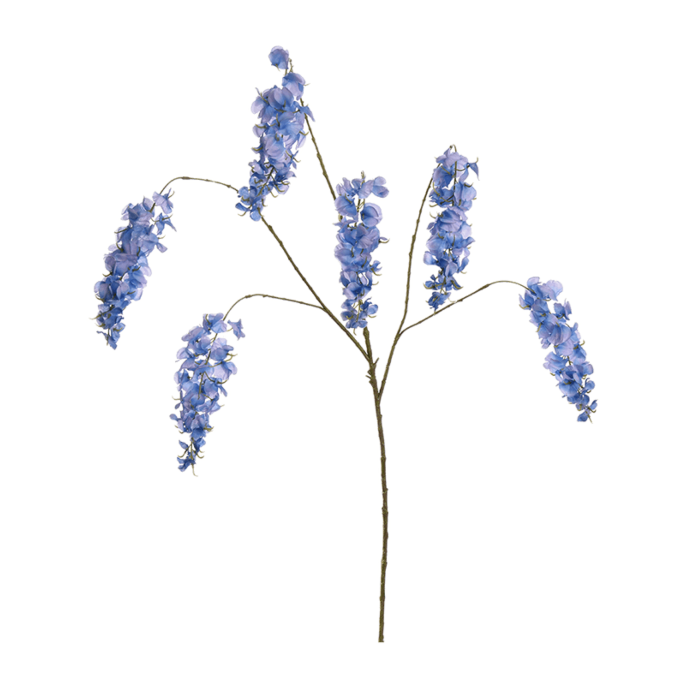 Blauwe Regen