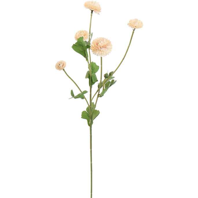 Pompom Bloem