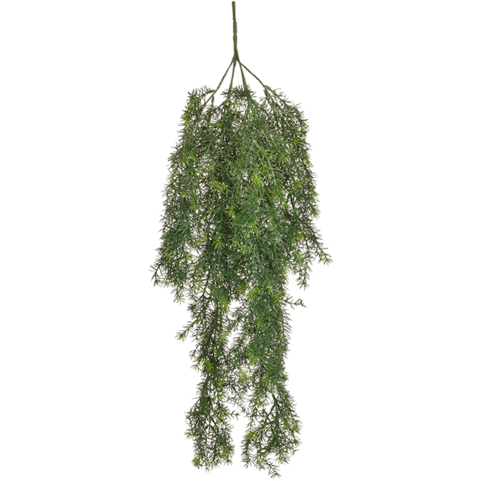 Aspergevaren