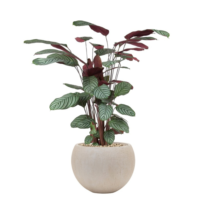 beplanting voor kantoor met pot