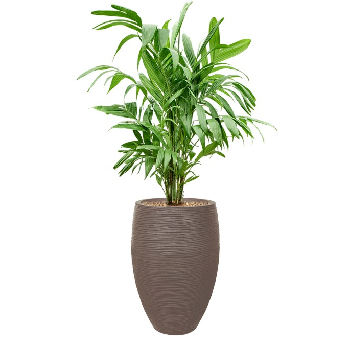 palm in capi rib pot taupe