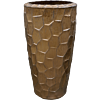 Cascara