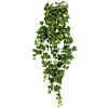 Klimop