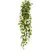 Klimop