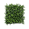 Eucalyptus
