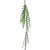 Bladcactus