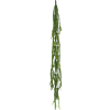 Bladcactus
