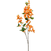 Bougainville