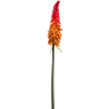Vuurpijl