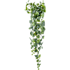 Zilveren Scindapsus