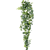 Zilveren Scindapsus
