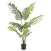 Paradijsvogelbloem