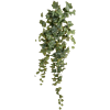 Klimop