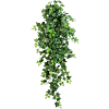 Klimop