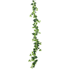 Klimop