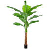 Bananenplant