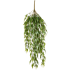 Bamboe